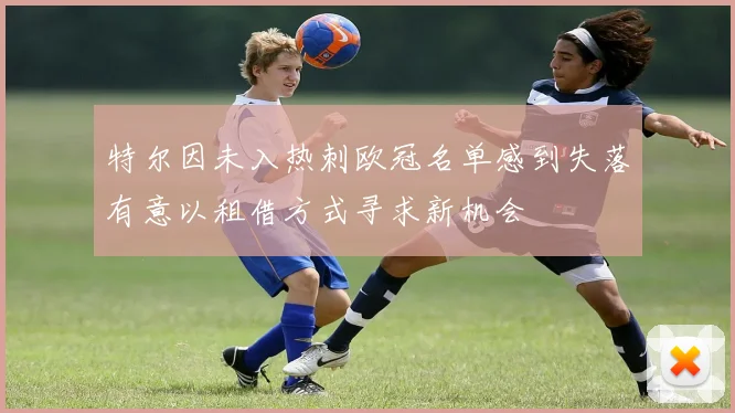 特尔因未入热刺欧冠名单感到失落有意以租借方式寻求新机会
